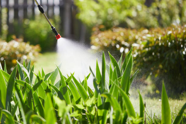 24/7 Emergency Mosquito Control experts in Lake Royale, NC