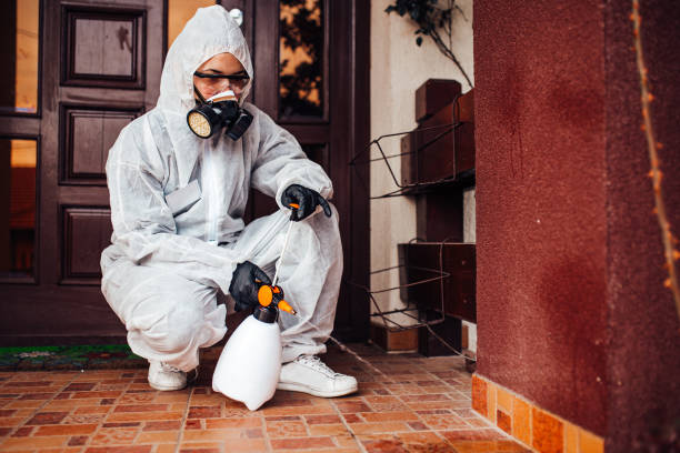 Reliable Mosquito Control contractor in Lake Royale, NC by Show Me Pest Control