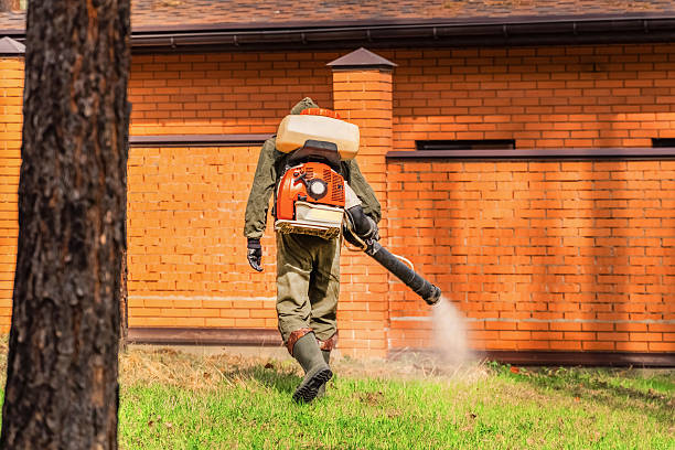 Top rated local Mosquito Control specialists in Lake Royale, NC